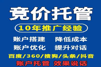 百度竞价推广运营实战技巧与经典案例剖析